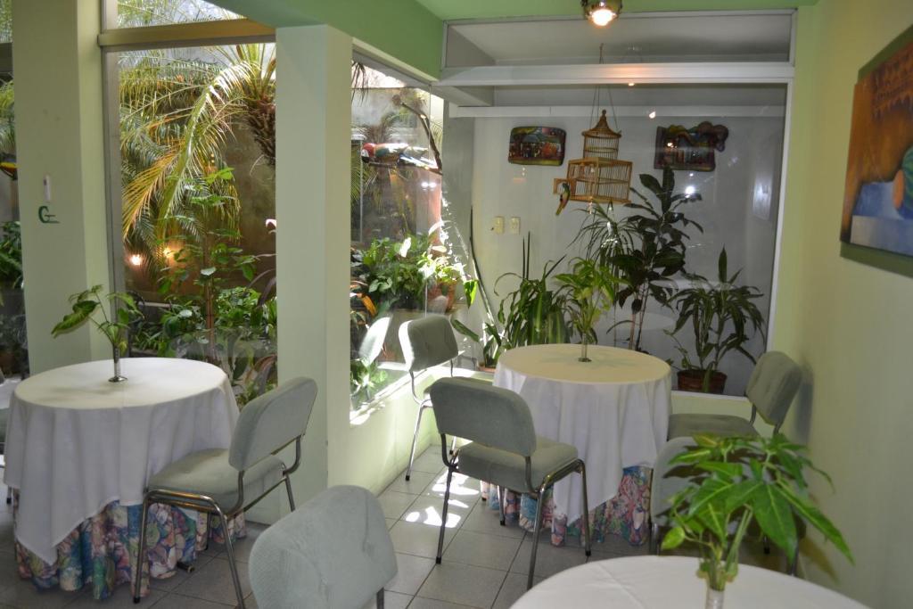 Hotel Amalfi Асунсион Екстериор снимка